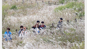 무등산 정상에 은빛 억새물결