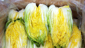 괴산군 절임배추 판매가격 동결키로