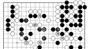 [바둑]알파고 vs 알파고 특선보… 걱정이 사라져