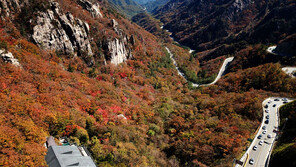 “단풍에 취하겠네”