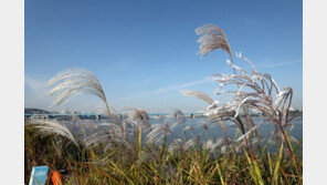 [날씨]평년 기온 회복하니 미세먼지 ‘나쁨’…15일 낮 20~22도