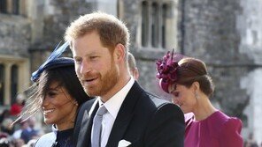 英 해리 왕자 부부, 내년 봄 부모 된다…임신 12주차