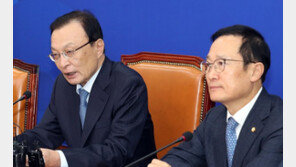 이해찬 “교황, 내년 봄에 북한 방문하고 싶어 한다”