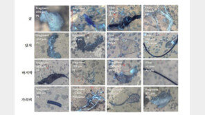 미세플라스틱 잇단 검출…“식약처 오염제품 유통 차단해야”