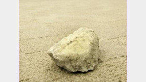 13층 아파트서 떨어진 돌에 차량 3대 파손, 범인 잡고 보니…