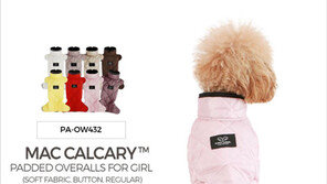  더 진화한 퍼피엔젤 강아지옷  ‘Mac패딩 2019버전’ 출시