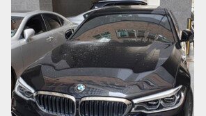 3세兒 아파트옥상서 돌멩이 떨어뜨려…BMW 등 파손