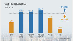 “내년 분양시장 불확실”…규제지역 분양 물량 연말에 쏟아져