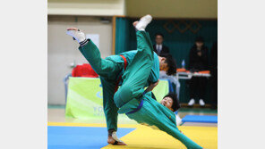 [CLIP] 용무도란?