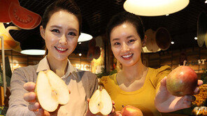 “사과가 아니라 배입니다”… 국내 첫 서양배 시험재배 성공