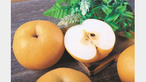 제대로 물오른 가을 보약 ‘배’ 드세요