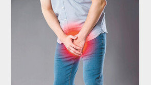 한약액 주입해 요도 세척… 전립샘 질환 개선한다