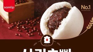 ‘골든에그’ ‘버거’ ‘크리미단팥’… 호빵 12종 선보여