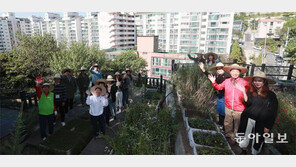 취미활동서 마을 재생 희망으로… 도시농업의 진화