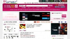 ‘해외 도피’ 소라넷 운영자 부동산·은행계좌 등 재산 동결