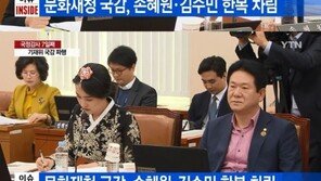 손혜원·김수민, 국감장에 개량한복 입고 등장?…“효과적 질문방식” 호평도
