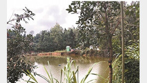 남편이 보험금 타기 위해 실종 가장했는데, 일가족 자살