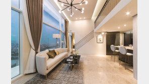 저층 오피스텔 인기… ‘더 라움’ 눈길