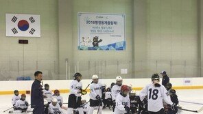 여자 아이스하키 대표팀 신임 사령탑에 김상준 감독 선임