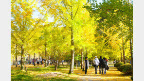 “강원도로 가을여행 떠나세요” 20일부터 ‘가을 여행주간’ 운영