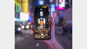 케이크 위 설탕 알갱이까지 생생