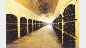 가을빛에 취하고 술향에 취하고… 애주가를 위한 양조장 체험