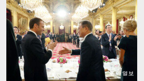 문재인 대통령, 佛 엘리제궁 국빈 만찬… 17일 로마서 韓-伊정상회담