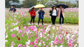 [날씨] 18일 전국 산발적 비…강원 산지는 ‘첫 눈’ 가능성도