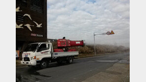창녕 이어 파주서도 AI 항원 검출…고병원성 확인中