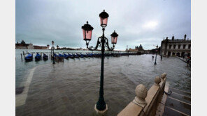 ‘피사의 사탑’도 잠길라…해수면 상승 세계문화유산 ‘위태’