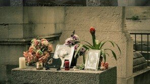 ‘알쓸신잡3’ “사진 협의없이 사용 죄송…저작권 협의할 것”