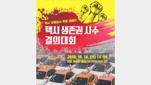 ‘카카오 카풀’ 반대 택시 파업에 누리꾼들 “계속 파업해 달라” 반응 싸늘