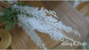 동국제약, ‘훼라민큐’ 신규 TV광고 공개… 새 모델 ‘배우 장미희’ 발탁