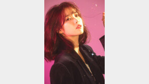 아이유, ‘2018 AAA’ 참석 확정