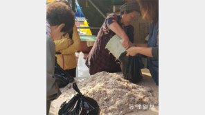 좌판 어시장 인기