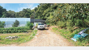 성남 심곡동 토지, 강남 세곡동-판교-분당과 인접 外