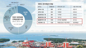 철저한 안전검증-처리시설 확보… 환경단체도 원전 반대 접어