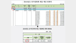 가계부만도 못한 유치원 회계장부