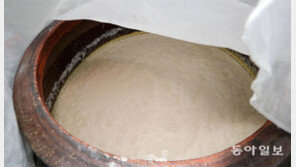 보글보글 누렇게 익는 막걸리… 80여년 묵은 맛과 향에 취하다