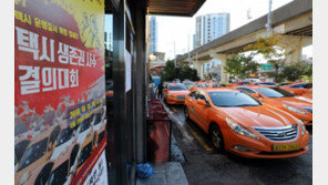 택시기사 3만명 ‘카풀반대’ 머리띠…국토부 ‘뒷짐만’