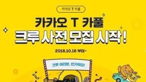 카카오 카풀 이용 요금 얼마? “택시 요금의 60~70% 수준인 현 업체 참고”