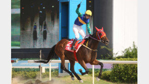 서울 스페셜스톤 vs 부경 인디언스타…국산마 여왕 가린다