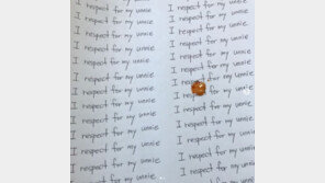 블랙넛, 징역 1년·집행유예 2년 구형…“SNS 글, 김칫국물 아닌 피눈물”