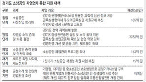 경기도 “소상공인-자영업자 4166억 지원”