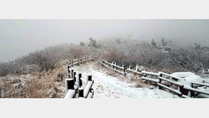 설악산 첫눈… 작년보다 16일 빨라