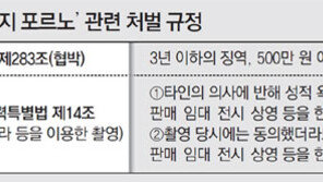 리벤지 동영상 협박 느는데… 처벌 제대로 못해