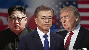 文대통령 “돌이킬 수 없는 비핵화 단계” 둘러싼 다양한 해석