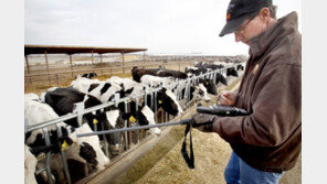 英스코틀랜드서 광우병 발생…“사람 위협 가능성 거의 없어”