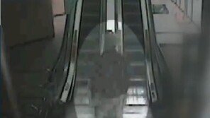 “강서구 PC방 살인사건, 특정 부위 집중 공격…단순 우발범죄로 보기 어려워”