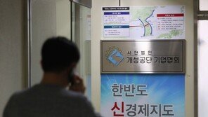 30일 개성공단 TF 재개…“경협보험·연내 재가동, ‘방북’에 달렸다”